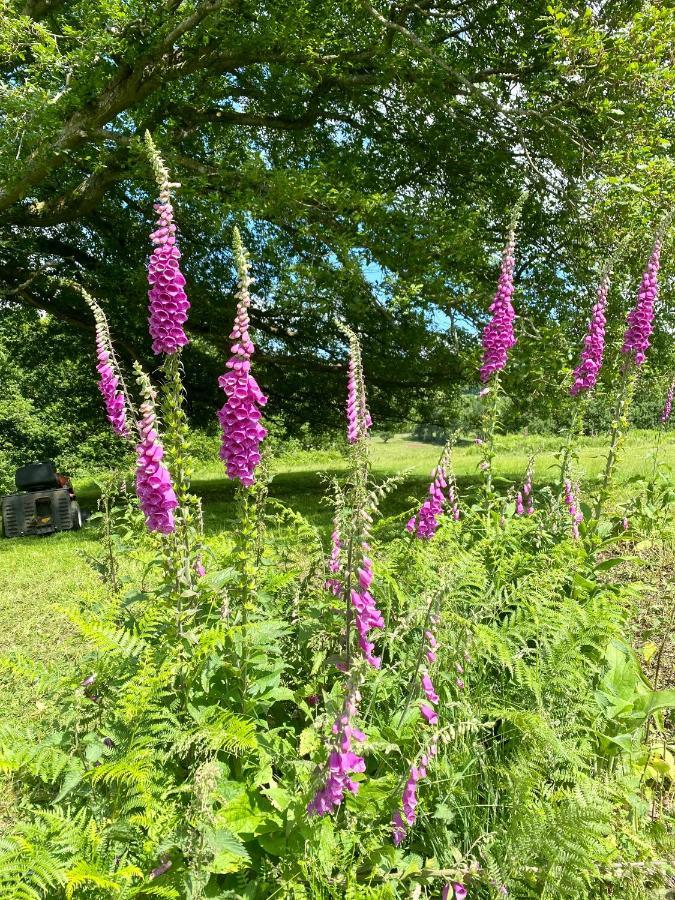 Hotel Black Mountains Glamping Abergavenny Exterior foto